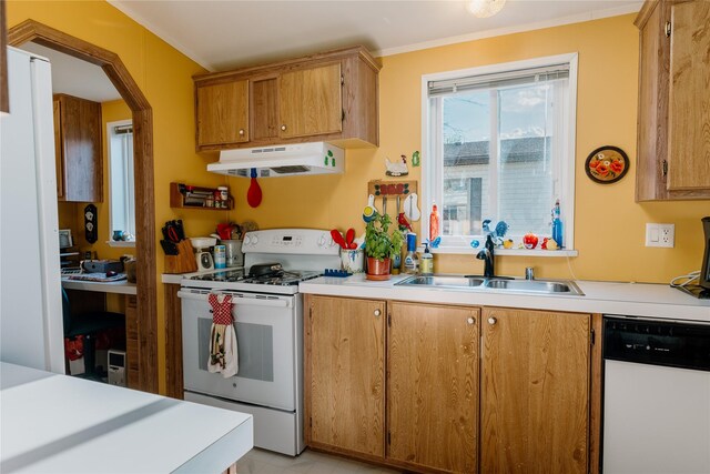 4242 Morningside Cir, Great Falls, MT 59405 - kitchen featuring white appliances, under cabinet range hood, a sink, light countertops, and arched walkways