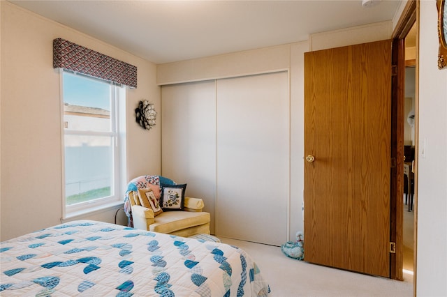 4242 Morningside Cir, Great Falls, MT 59405 - carpeted bedroom with a closet
