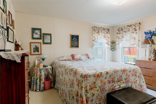 4242 Morningside Cir, Great Falls, MT 59405 - bedroom featuring carpet