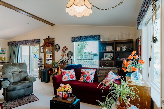 4242 Morningside Cir, Great Falls, MT 59405 - living room with carpet flooring and crown molding