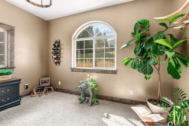 15 Sandi Ln, Heron, MT 59844 - living area with carpet floors and baseboards