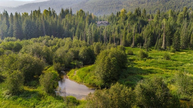 15 Sandi Ln, Heron, MT 59844 - drone / aerial view of a forest and a mountainous background