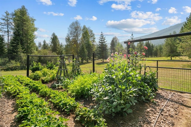 15 Sandi Ln, Heron, MT 59844 - view of yard featuring fence and a garden