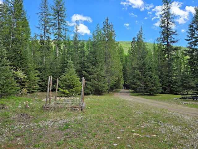 401 Western Larch Ln, Yaak, MT 59935 - view of dirt / gravel road with a view of trees