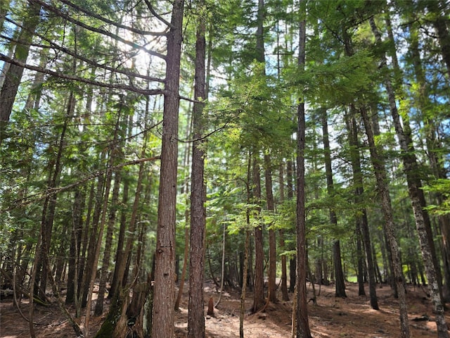 401 Western Larch Ln, Yaak, MT 59935 - view of nature