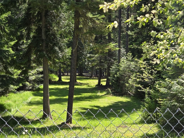 401 Western Larch Ln, Yaak, MT 59935 - view of yard