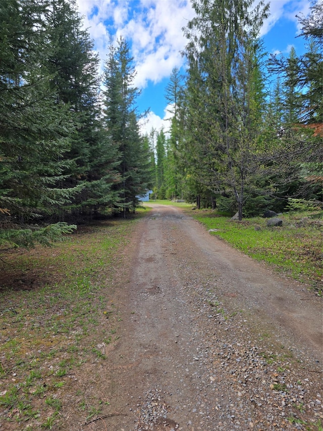 401 Western Larch Ln, Yaak, MT 59935 - view of street with a view of trees