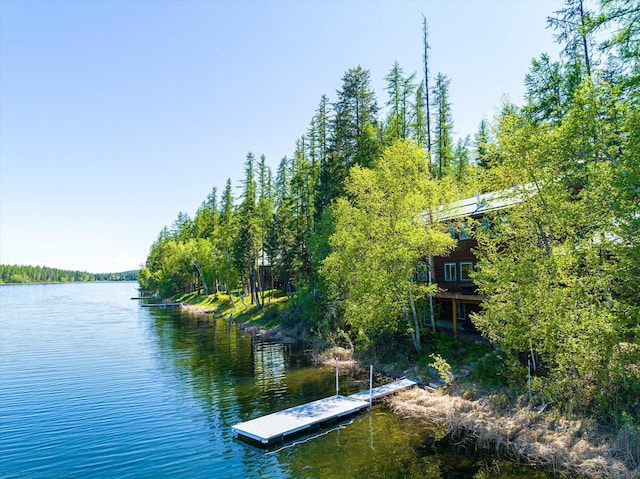 655 Leksand Trl, Whitefish, MT 59937 - dock with a water view