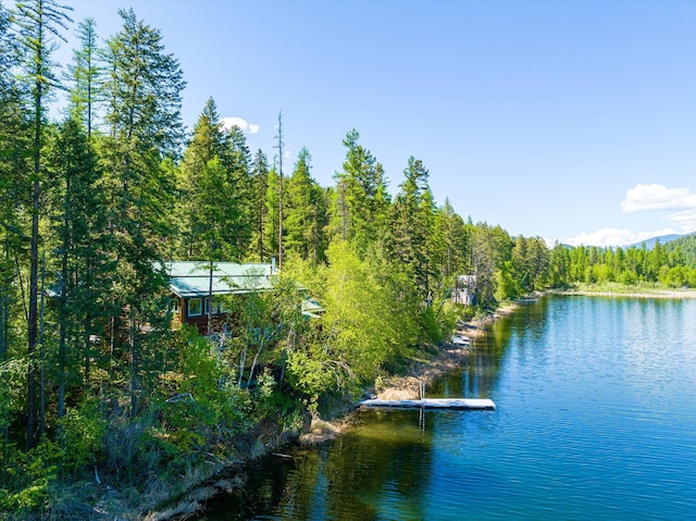 655 Leksand Trl, Whitefish, MT 59937 - water view with a forest