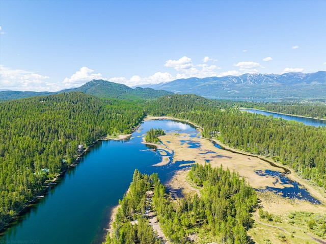 655 Leksand Trl, Whitefish, MT 59937 - aerial view of a forest and a water and mountain view