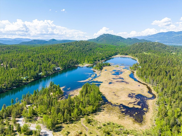 655 Leksand Trl, Whitefish, MT 59937 - drone / aerial view of a water and mountain view