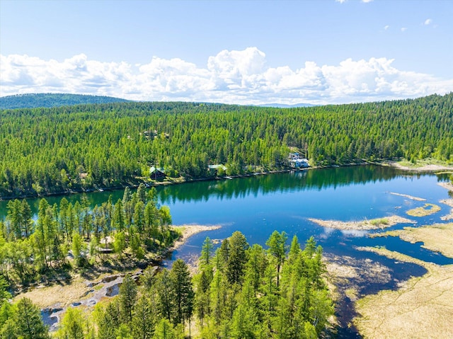 655 Leksand Trl, Whitefish, MT 59937 - drone / aerial view of a forest and a nearby body of water