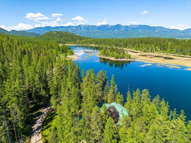 655 Leksand Trl, Whitefish, MT 59937 - drone / aerial view of a heavily wooded area and a water and mountain view