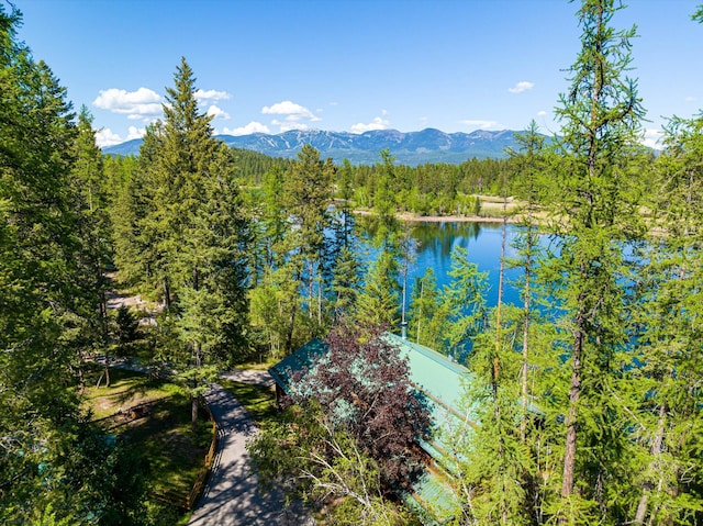 655 Leksand Trl, Whitefish, MT 59937 - water view featuring a forest and mountains