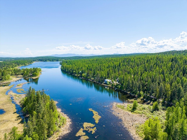 655 Leksand Trl, Whitefish, MT 59937 - drone / aerial view of a forest and a water and mountain view