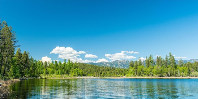 655 Leksand Trl, Whitefish, MT 59937 - water view with a mountainous background
