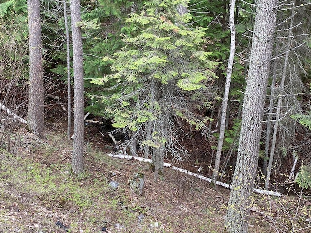 97 Cedar Way Unit 97, Whitefish, MT 59937 - view of undeveloped land