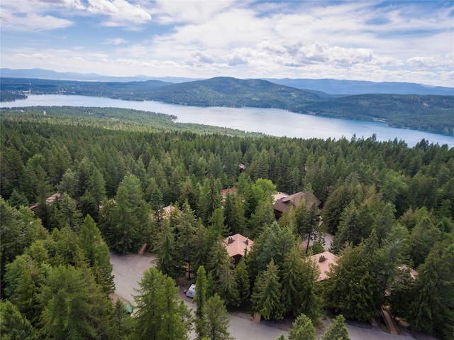 97 Cedar Way Unit 97, Whitefish, MT 59937 - drone / aerial view of a heavily wooded area and a water and mountain view