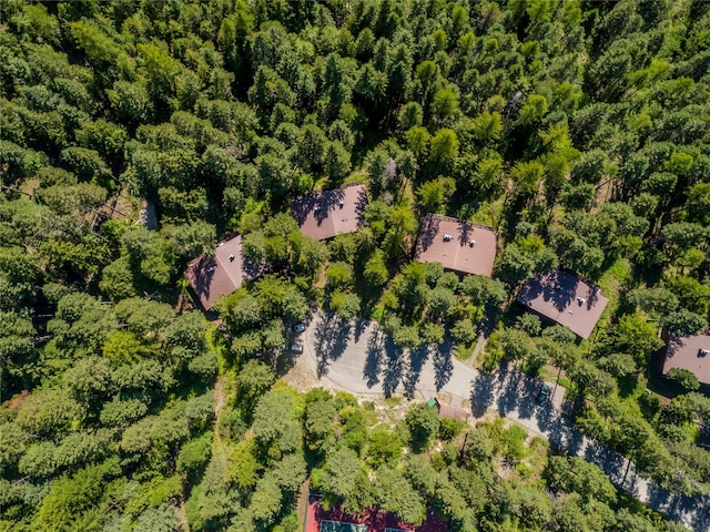 97 Cedar Way Unit 97, Whitefish, MT 59937 - bird's eye view