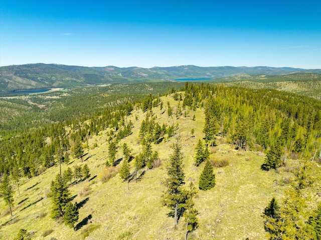 NHN Ashley Lake Rd, Kalispell, MT 59901