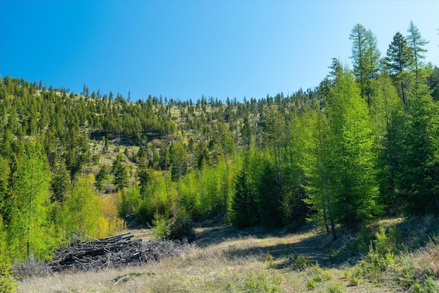 NHN Ashley Lake Rd, Kalispell, MT 59901