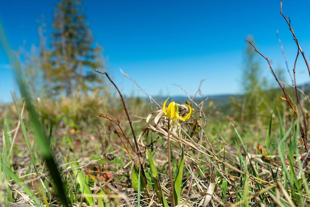 NHN Ashley Lake Rd, Kalispell, MT 59901