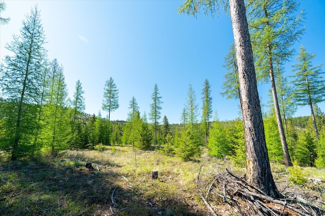 NHN Ashley Lake Rd, Kalispell, MT 59901