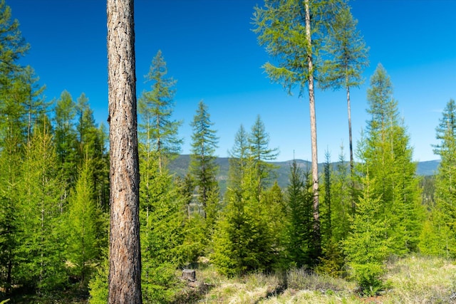 NHN Ashley Lake Rd, Kalispell, MT 59901
