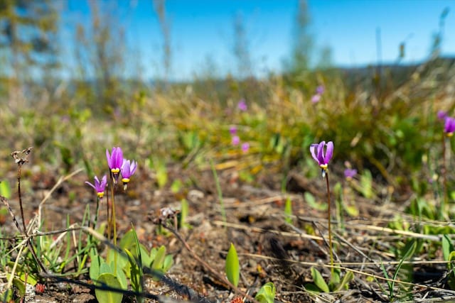 NHN Ashley Lake Rd, Kalispell, MT 59901