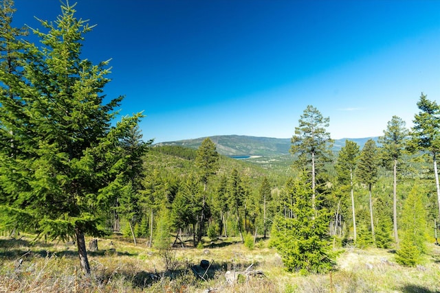 NHN Ashley Lake Rd, Kalispell, MT 59901