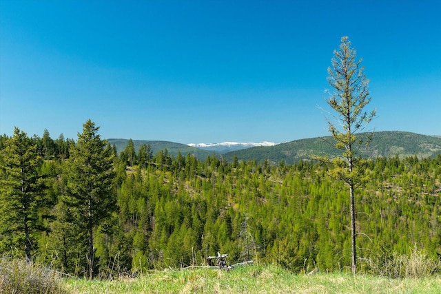 NHN Ashley Lake Rd, Kalispell, MT 59901