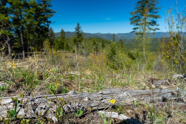 NHN Ashley Lake Rd, Kalispell, MT 59901
