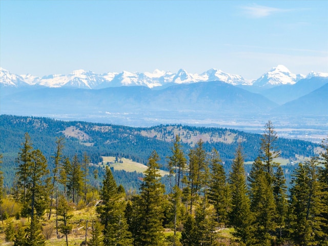 NHN Ashley Lake Rd, Kalispell, MT 59901