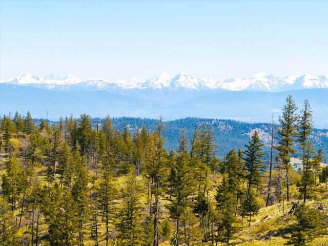 NHN Ashley Lake Rd, Kalispell, MT 59901