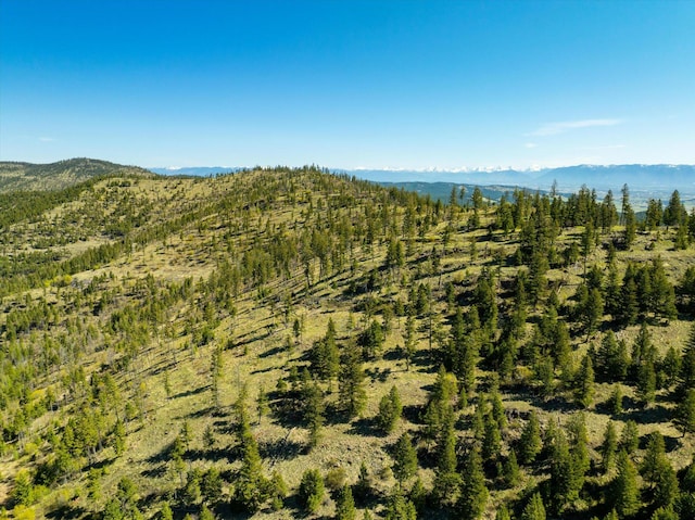 NHN Ashley Lake Rd, Kalispell, MT 59901