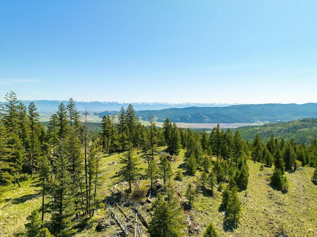NHN Ashley Lake Rd, Kalispell, MT 59901