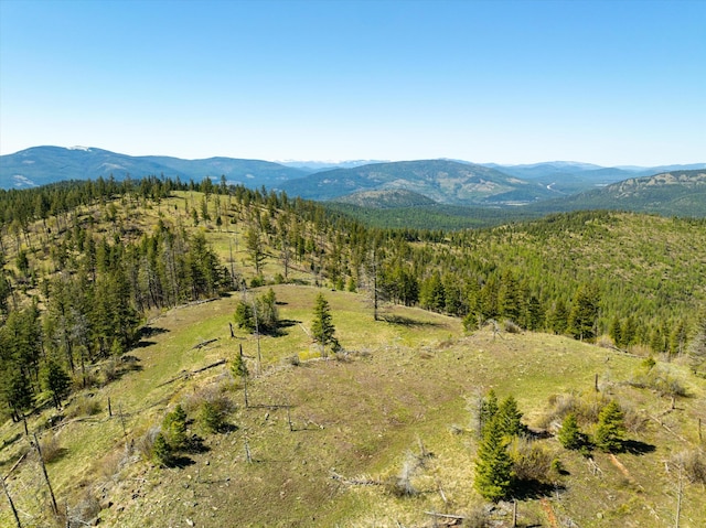 NHN Ashley Lake Rd, Kalispell, MT 59901