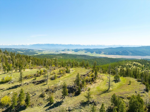NHN Ashley Lake Rd, Kalispell, MT 59901