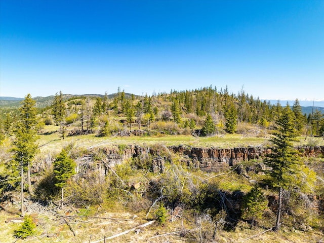 NHN Ashley Lake Rd, Kalispell, MT 59901