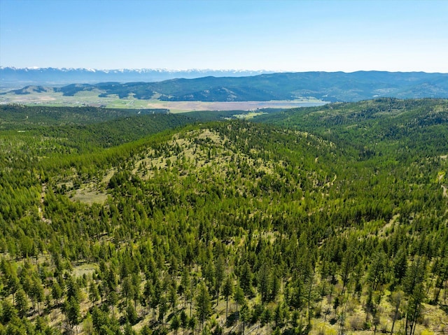NHN Ashley Lake Rd, Kalispell, MT 59901