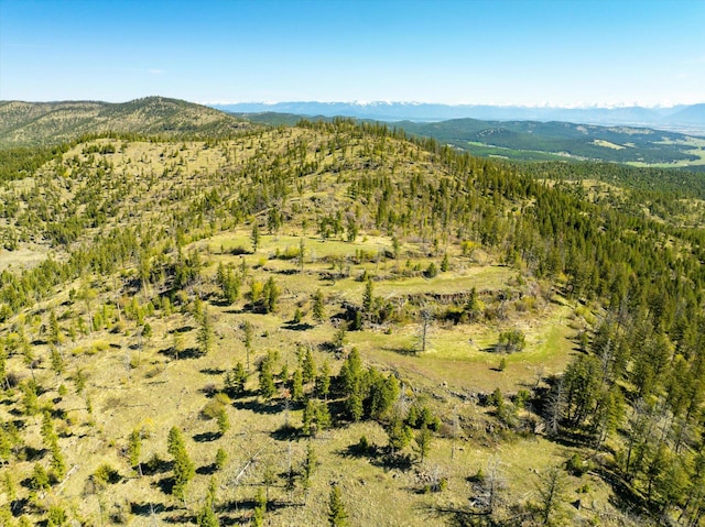 NHN Ashley Lake Rd, Kalispell, MT 59901