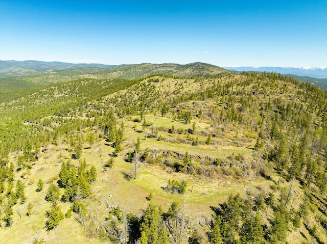 NHN Ashley Lake Rd, Kalispell, MT 59901