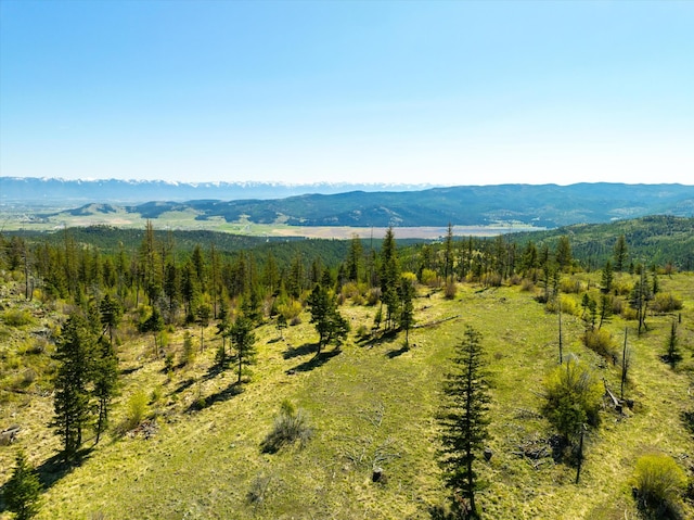 NHN Ashley Lake Rd, Kalispell, MT 59901