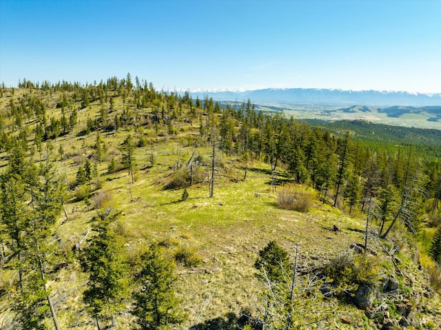 NHN Ashley Lake Rd, Kalispell, MT 59901