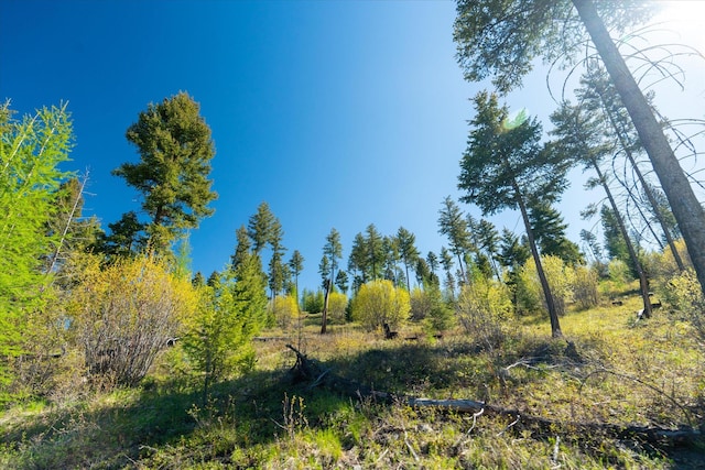NHN Ashley Lake Rd, Kalispell, MT 59901