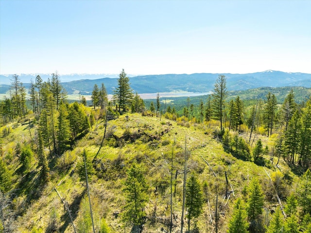 NHN Ashley Lake Rd, Kalispell, MT 59901