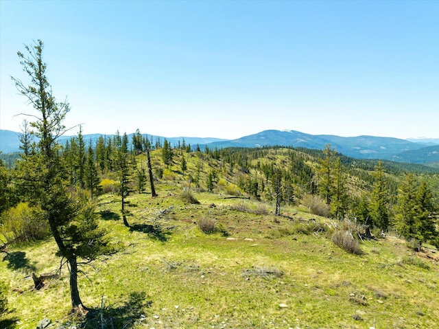 NHN Ashley Lake Rd, Kalispell, MT 59901