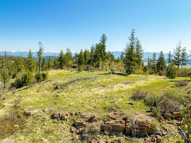 NHN Ashley Lake Rd, Kalispell, MT 59901