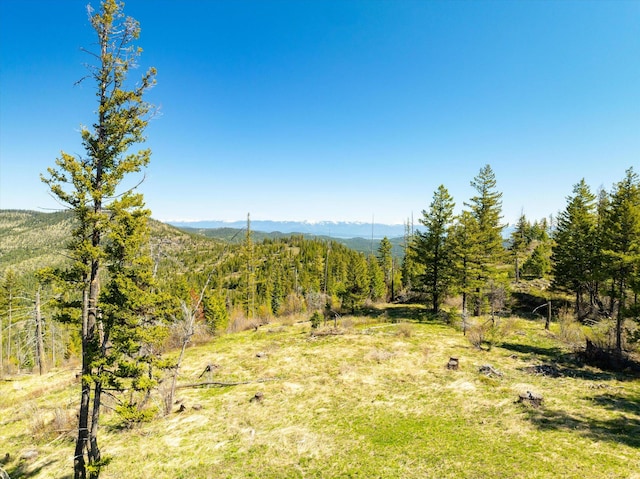 NHN Ashley Lake Rd, Kalispell, MT 59901