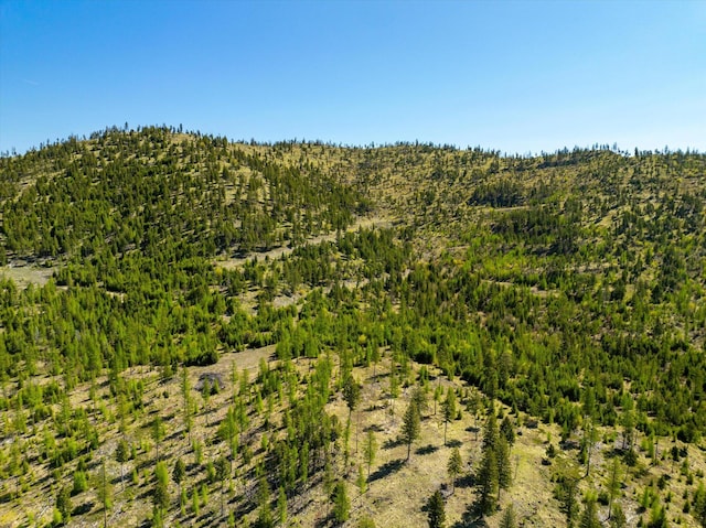 NHN Ashley Lake Rd, Kalispell, MT 59901